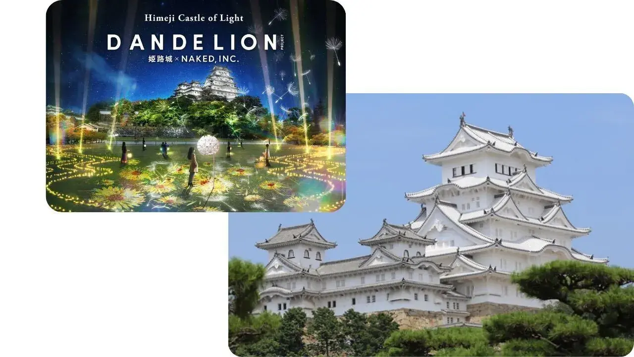 DANDELION PROJECT 姫路城 × NAKED, INC.
