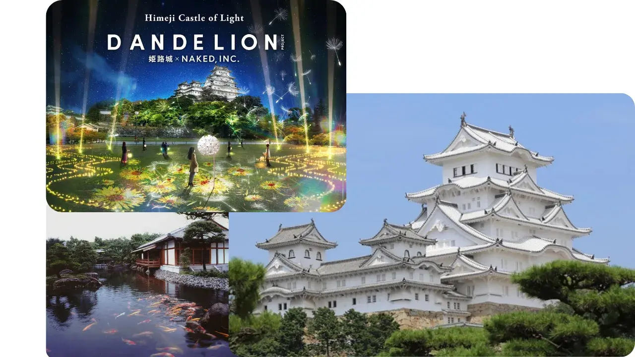 DANDELION PROJECT 姫路城 × NAKED, INC.